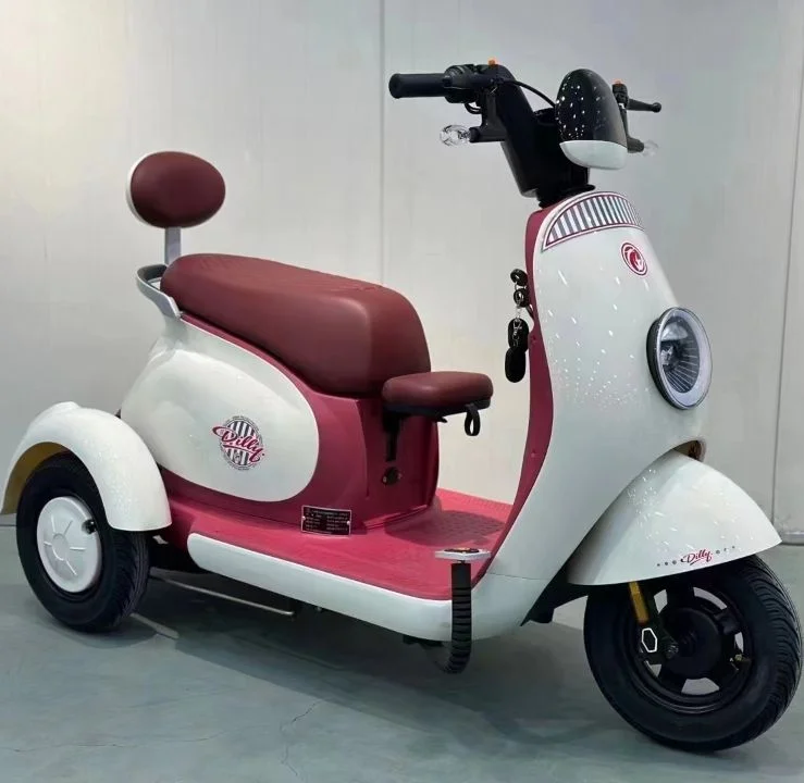 Hot Sale Electric Tricycle Bike Adult 3 Wheel Electric Bicycle with Fat Tire Electric Tricycle with Roof