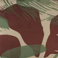 Rhodesia