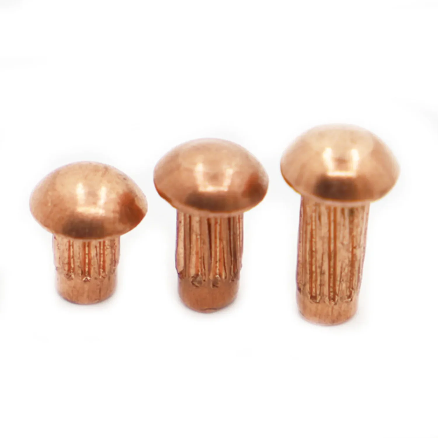 10-50pcs M2 M2.5 M3 M4 GB827 Copper Button Round Head Knurled Solid Shank Solid Rivet for Label Name Plate