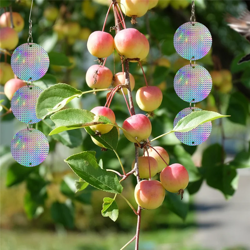 AA81-8PCS/Set Bird Repellent Discs Reflective Hanging Device To Keep Birds Away Like Wood Birds For Pigeons Wood Birds