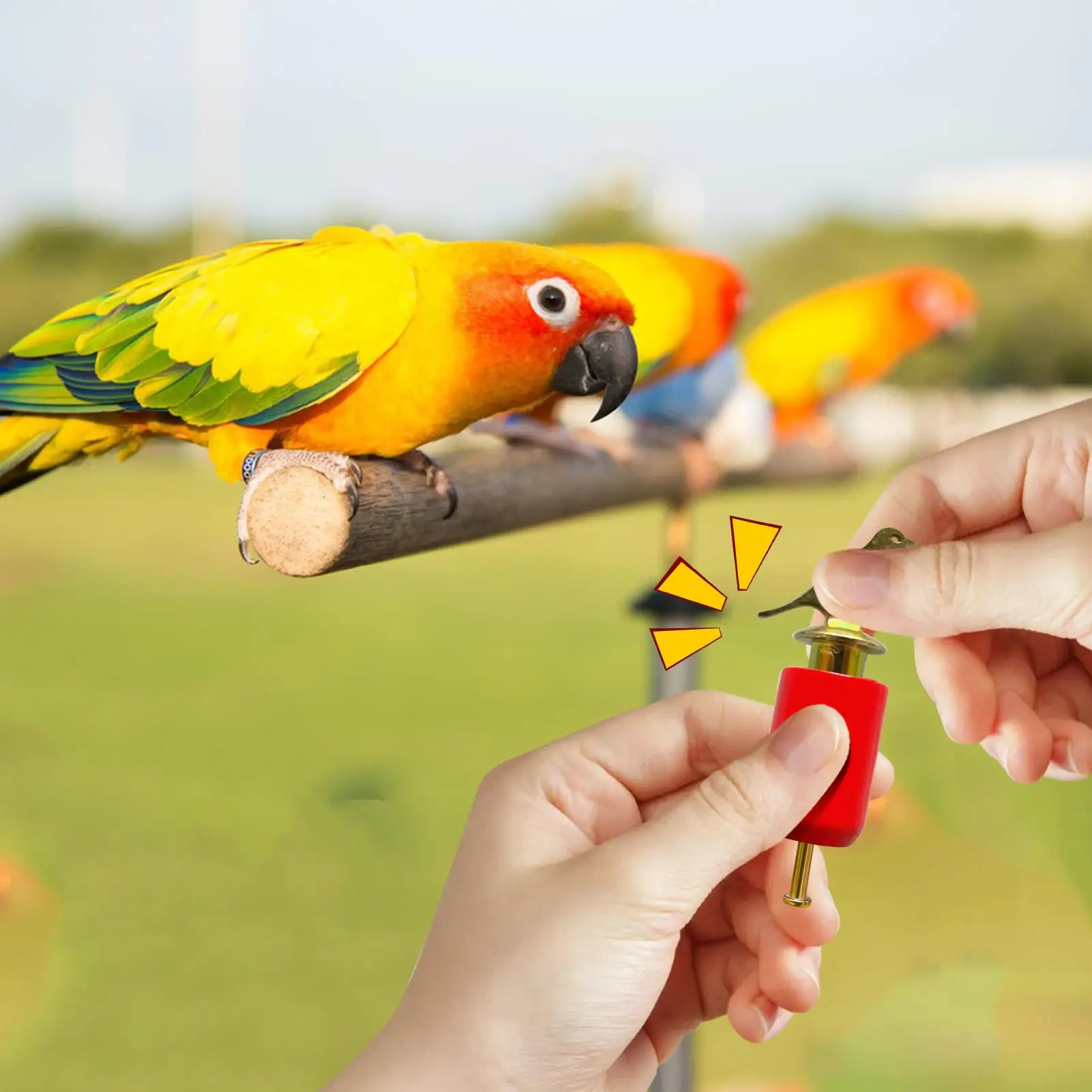 Bird Call Whistle Realistic Horn Interaction Training Bird Calls For Animals Lovers Party Football Game Watching Hiking Coaches