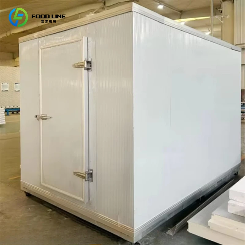 Customized Mobile Walk in Freezer Movable Cold Storage Cold Room for Seeds Storage No Installation Required