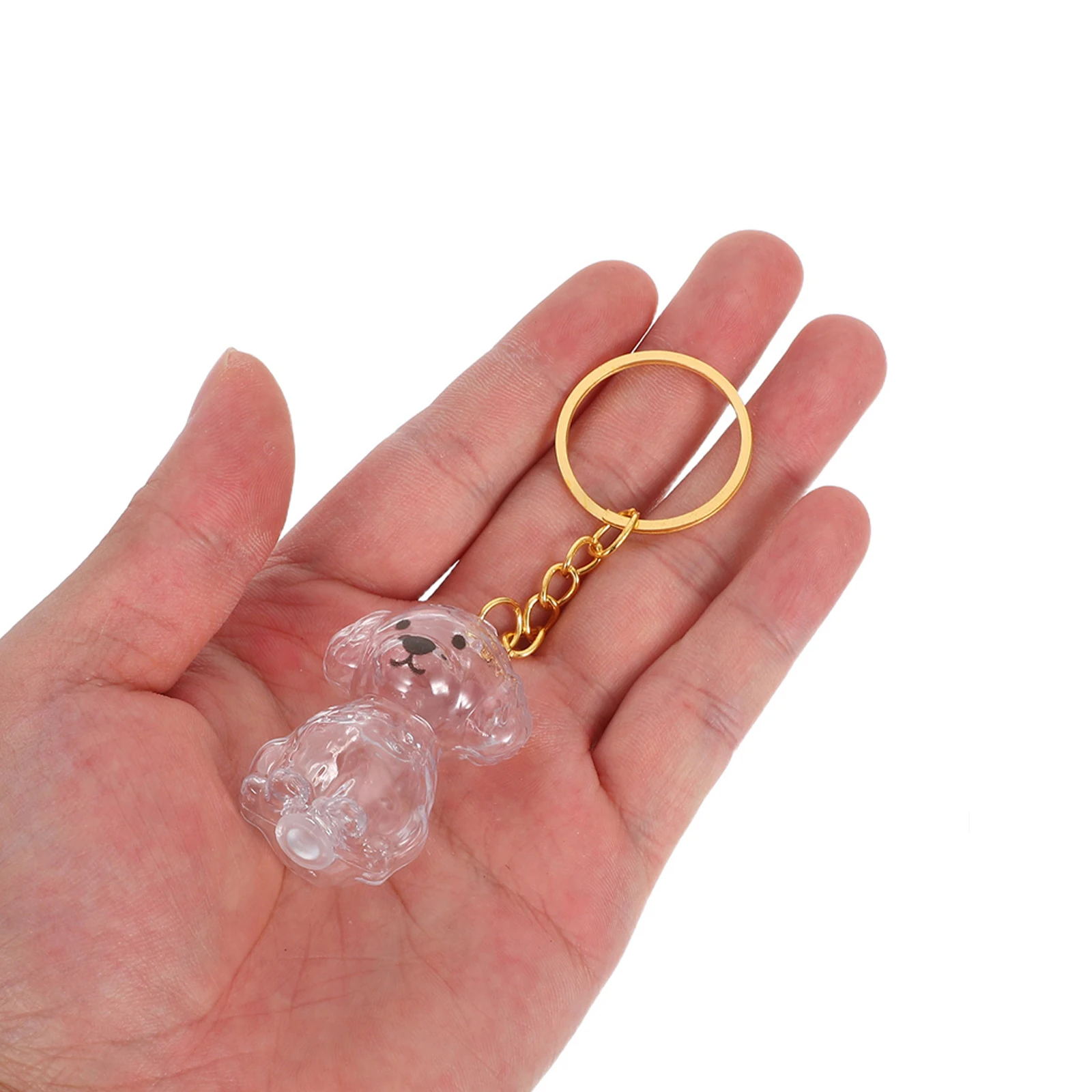 

1Set Pet Hair Memorial Keepsake Transparent Container Dog Hair Keepsake Keyring Pet Remembrance Charm Dog Keychain for Fur