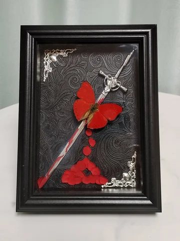 Red Butterfly Specimen Red Butterfly Cymothoe Sangaris Specimen With Sword Framed Natural Butterflies Taxidermy Artwork Wall Décor Exquisite Collection