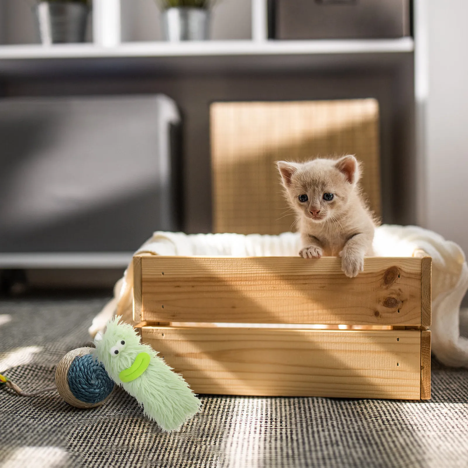 Interactive Catnip …