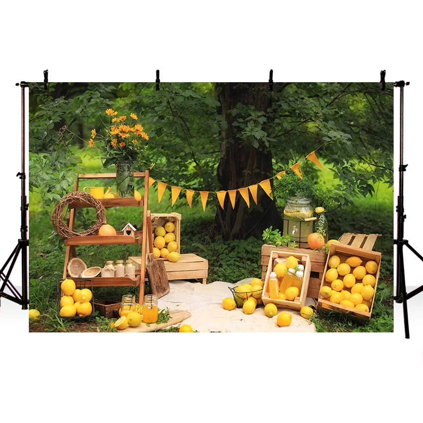 Mehofond Lemon Fruit Outdoor Forest Photography Background Newborn Portrait Photo Lemonade Backdrop Decorative Banner Studio