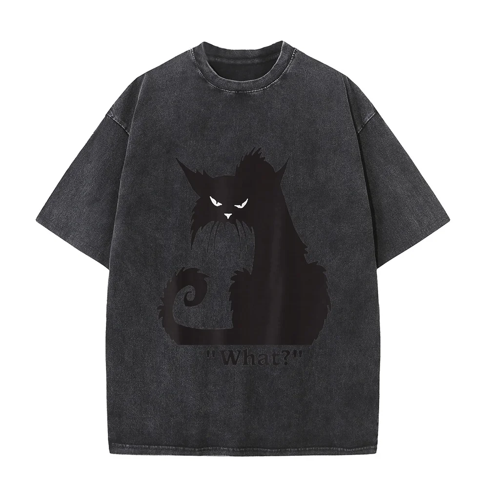 Cat What Funny Shirt T-Shirt Streetwear Clothing 티셔츠 Ropa Y2k 2000s Big Size T Top Cute Print Short Round Neck Graphic Tee