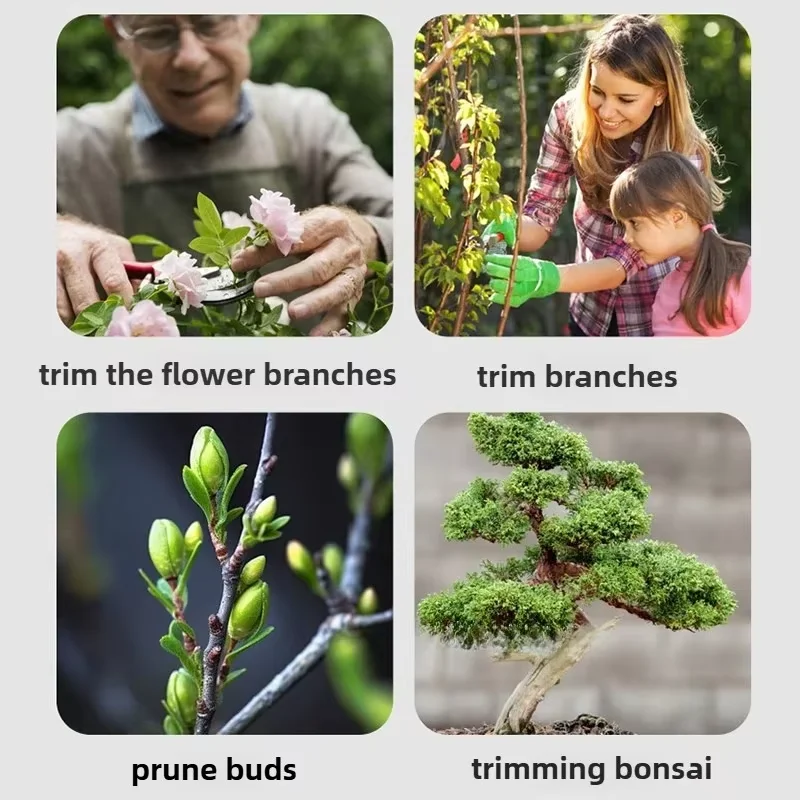 Bonsai snoeischaarset, tuinsch - Concave Branch Cutter recensie en prijs