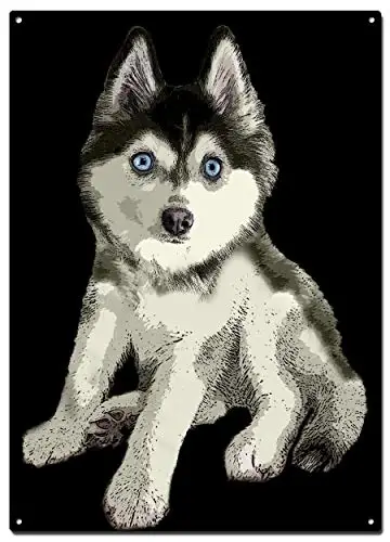 

Pomsky Dog Metal Tin Signs, Dog Poster, Decorative Signs Wall Art Home Decor