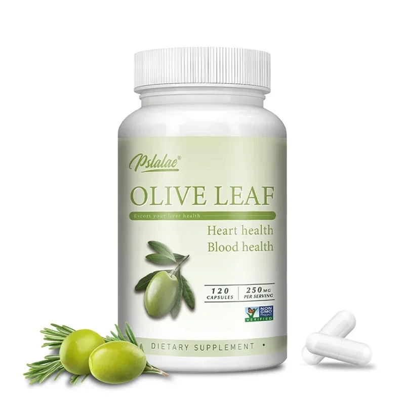 

Оливковый лист — высокопрочная антиоксидантная добавка, здоровье сердца, поддержка иммунитета — добавка с 12% олеуропеином