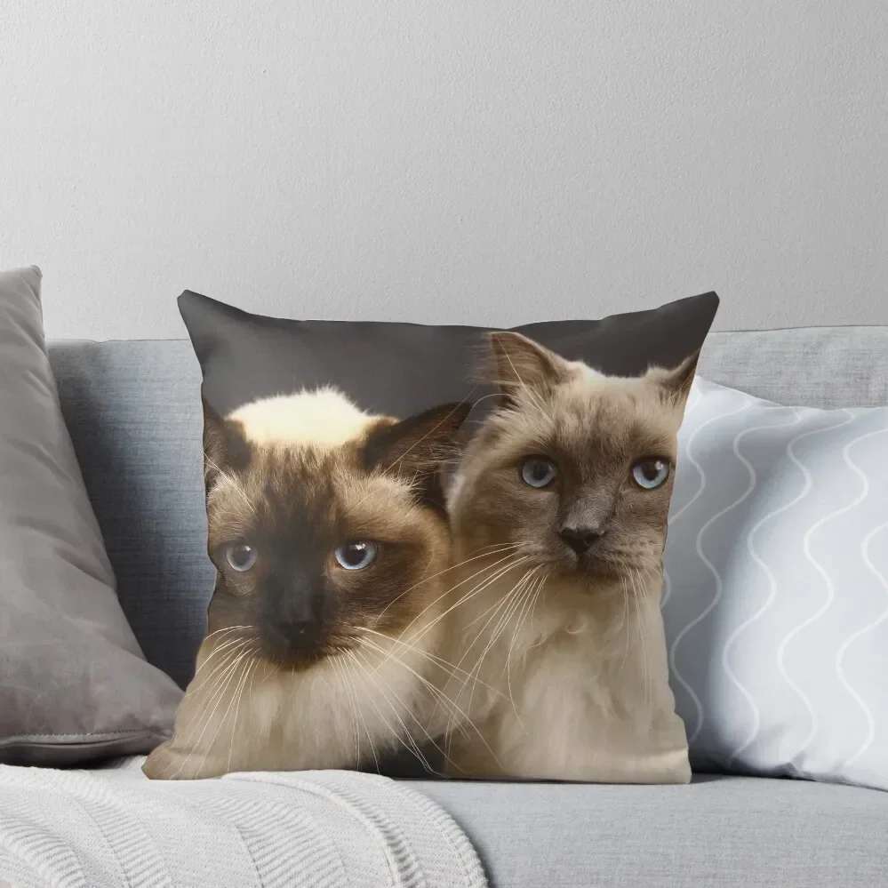 ragdoll cats Throw Pillow home decor items Sitting Cushion Cushions Home Decor Christmas Pillow Pillow