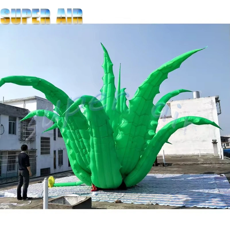 Souffleur gratuit de 8m de diamètre, herbe gonflable d'aloe vera, modèle de plante debout pour la décoration de fête