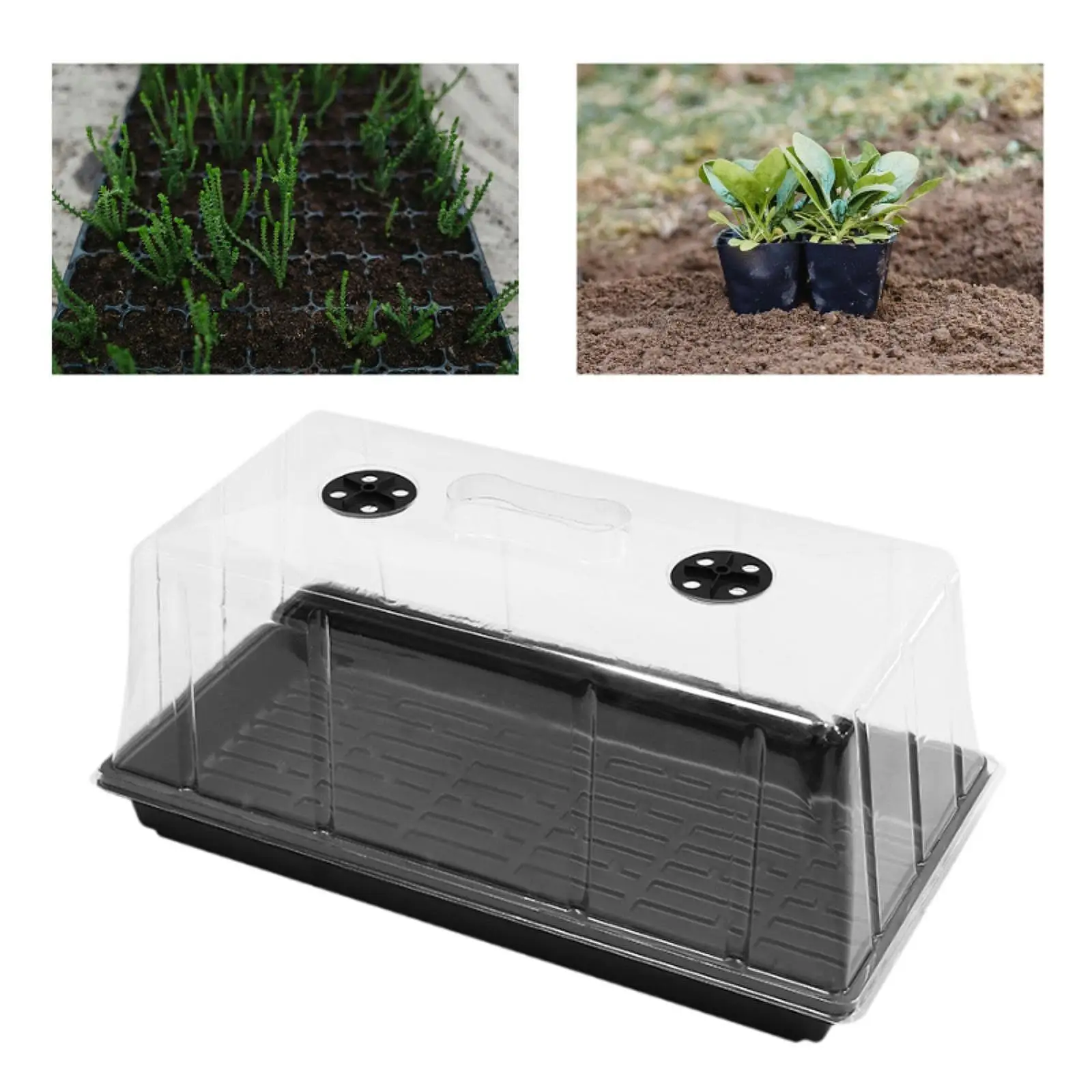 

Seedling Tray PS Plastic Nursery Tray Reusable Germination Planter for Plant Propagation Indoor Greenhouse
