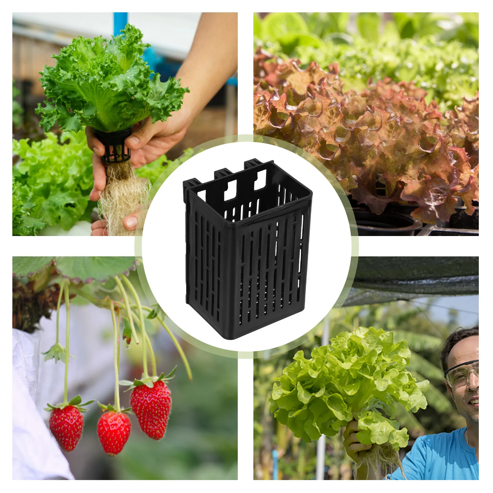 

Fish Tank Hydroponic Planting Basket Black Wall Mount Aquatic Plant Holder Aquarium Planter Fish Tank Propagation Cup