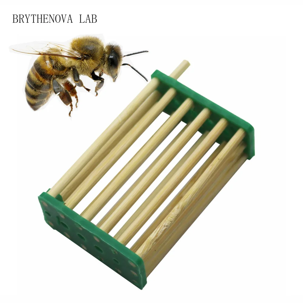 20Pcs 5/10/ Bamboo Bee Queen Cages Bee Isolation Transporting Box Beekeeping Nest Tools King Cage Beekeeper Rearing Equipment