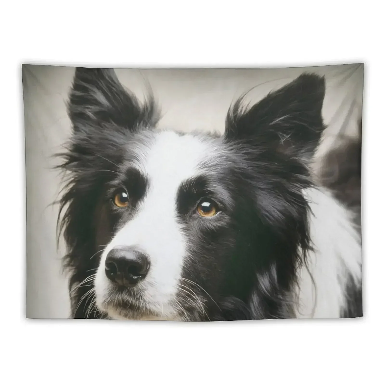 

Working Border Collie Tapestry Room Decore Aesthetic House Decorations Tapestry