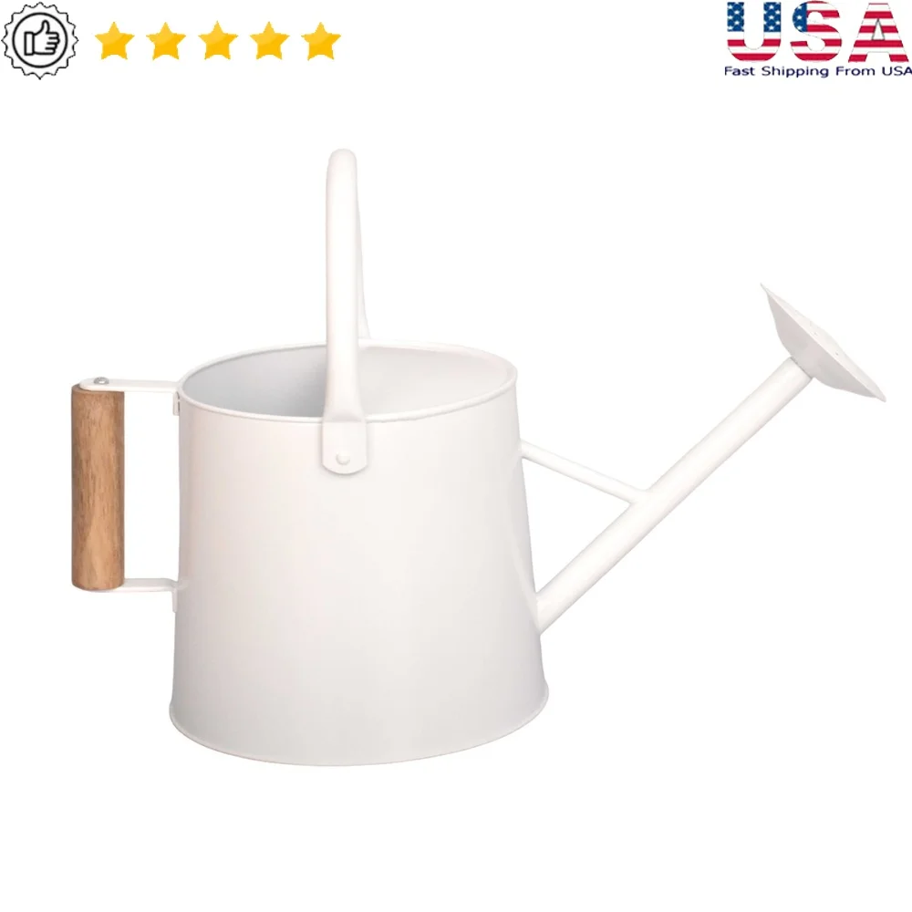 

Durable Metal Watering Can Ergonomic Handle Precision Spout Efficient Watering Indoor Outdoor Garden Plant Care 1.5 Gal