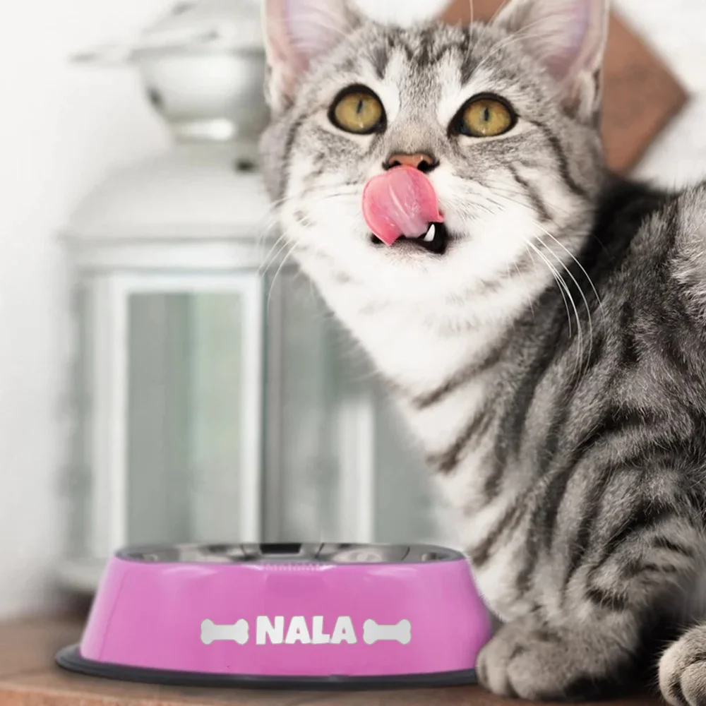 Customized Personalized Stainless Steel Tray Dog Bowl Basin Cat And Dog Pet Bowl Non Slip Feeding Pet Supplies Can Be Wholesale - Image 5