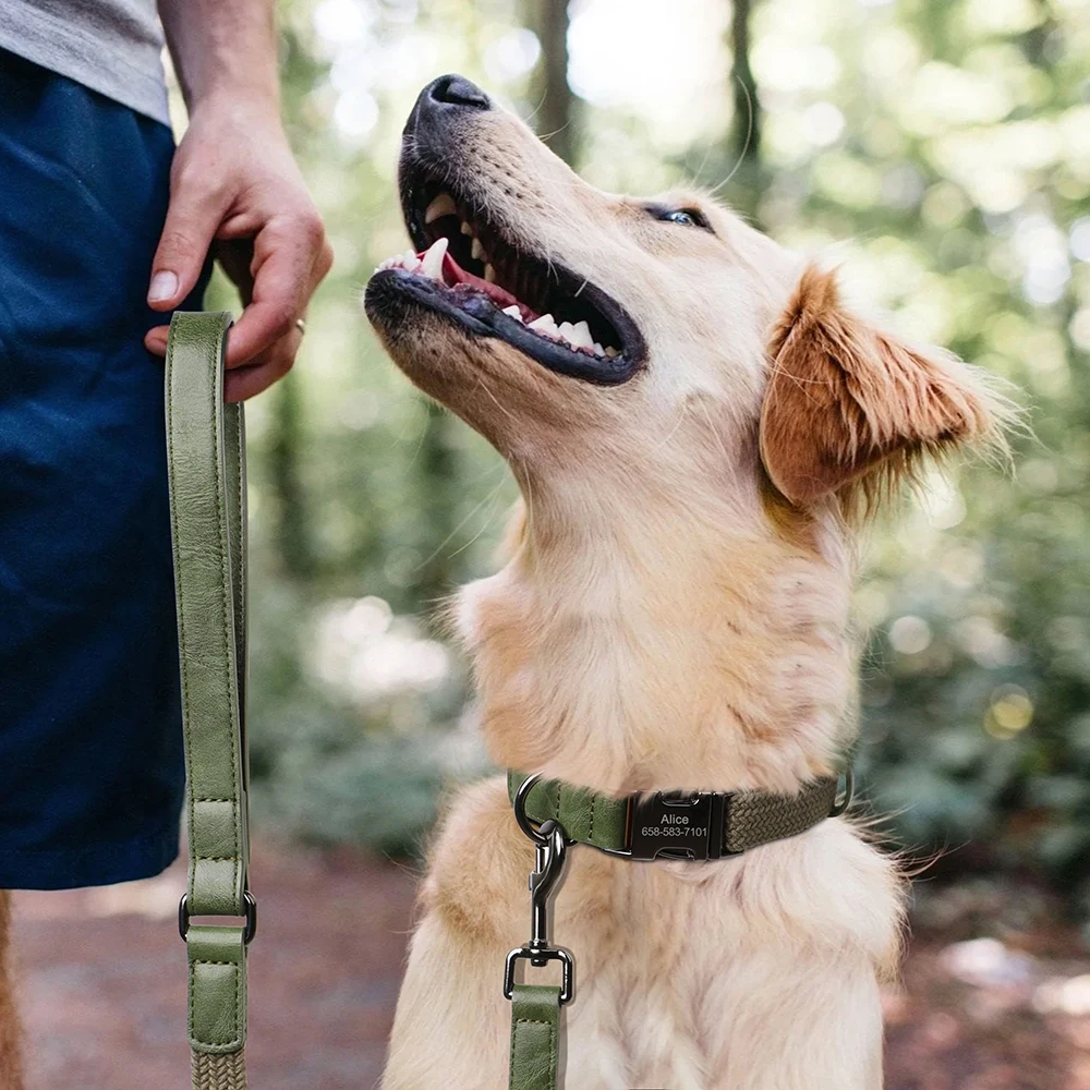 Thumbnail 4 - #88 Retractable Dog Leads Deals & Discounts