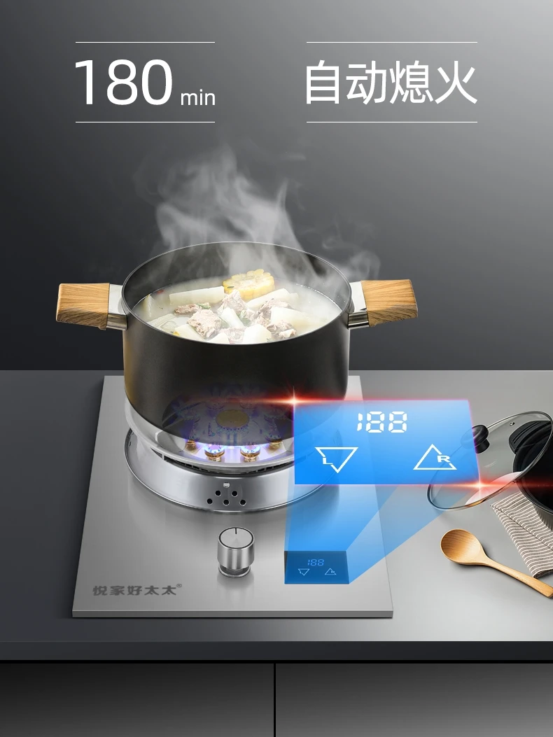 Gas Stove for Home Single Cooker Built-in Energy Saving Natural Gas Liquefied Gas Embedded Tabletop Strong Fire