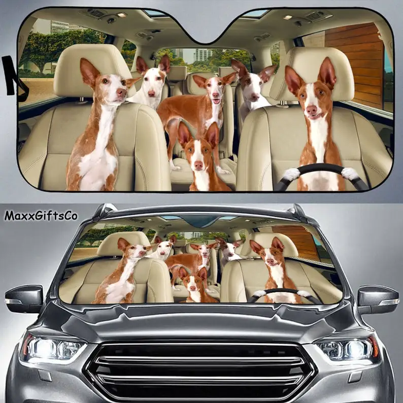 Podenco Ibicenco Car Sun Shade, Podenco Ibicenco Windshield, Dog Family Parasol, Dog Car Accessories, Car Decoration, Gift For