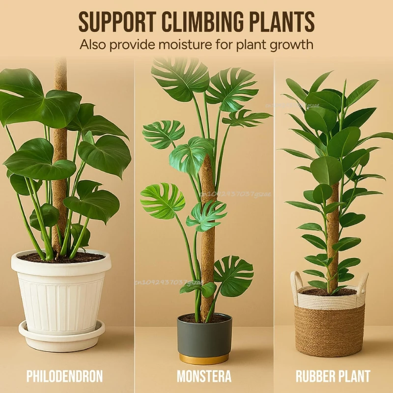 Kokospalmen-Pflanzenstütze Blumenständer Klettergerüst Monstera-Stütze Kokos-Seidenmoos-Stab für Pflanzen Stangen-Umwickelgestell – Detail 7
