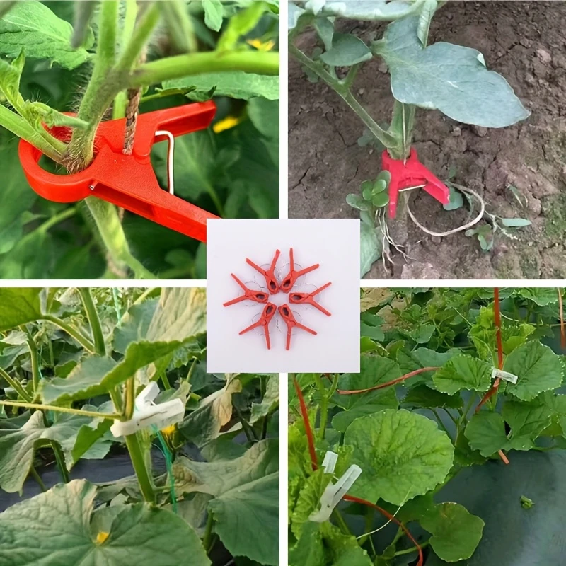 50-шт-клипс-для-прививки-с-круглым-и-квадратным-наконечником-для-рассады-огурцов-арбузов-баклажанов-томатов-садовые-принадлежности