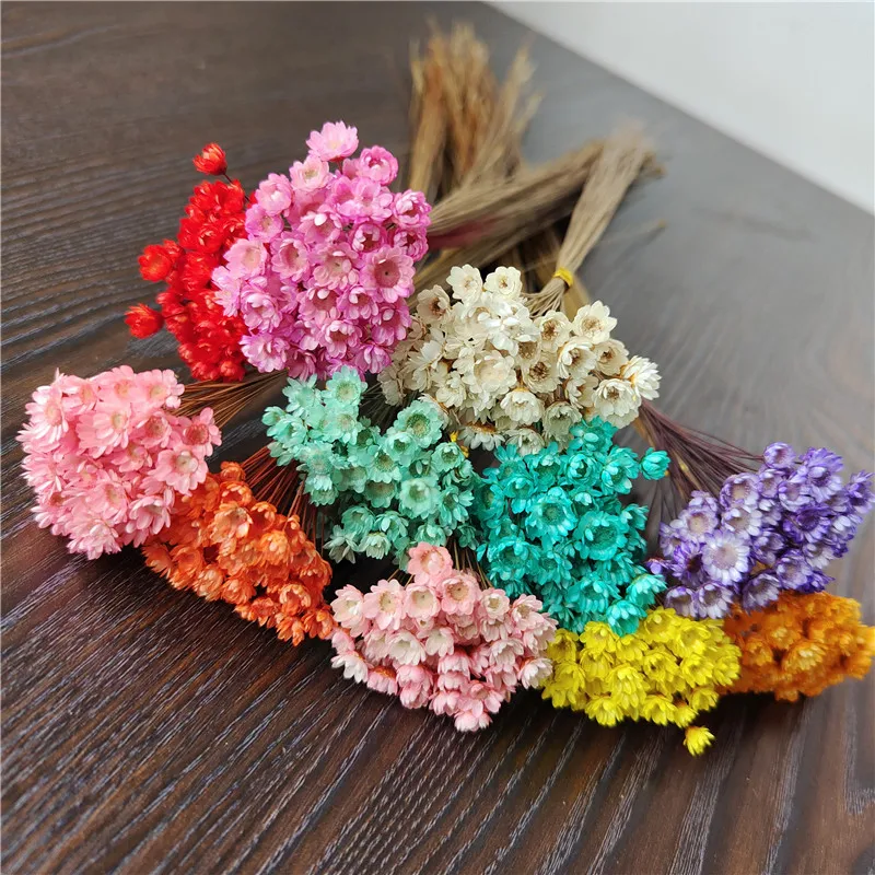 

Mini Daisy Small Star Flowers Bouquet Decorative Dried Flowers Natural Plants Preserve Floral for Wedding Home Decoration