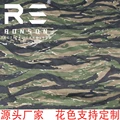 Vietnam tiger stripe