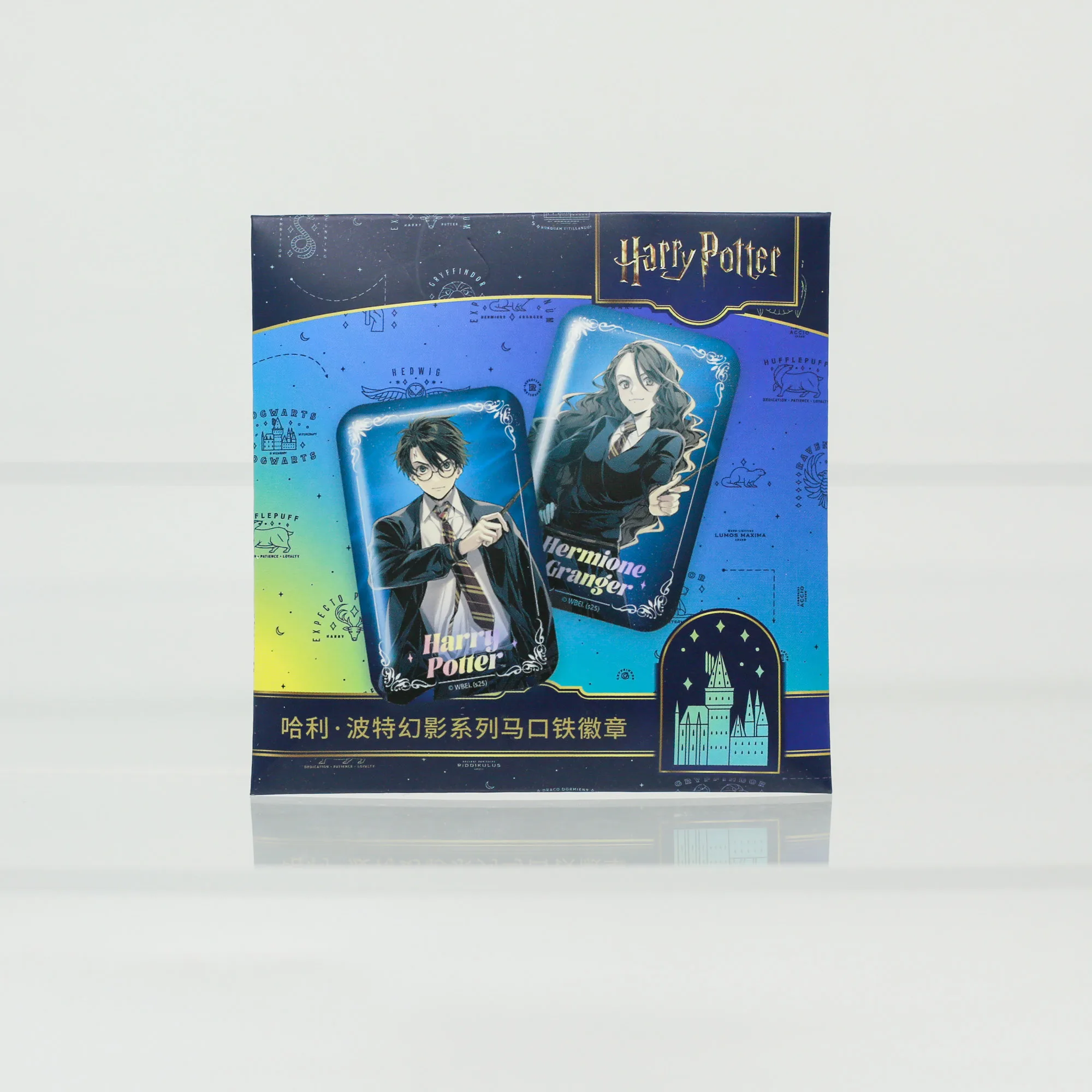 Distintivi di Harry Potter Spilla per giacca Accessori ACG Spille per borse Collezione di ornamenti Giocattoli per bambini Regali di compleanno