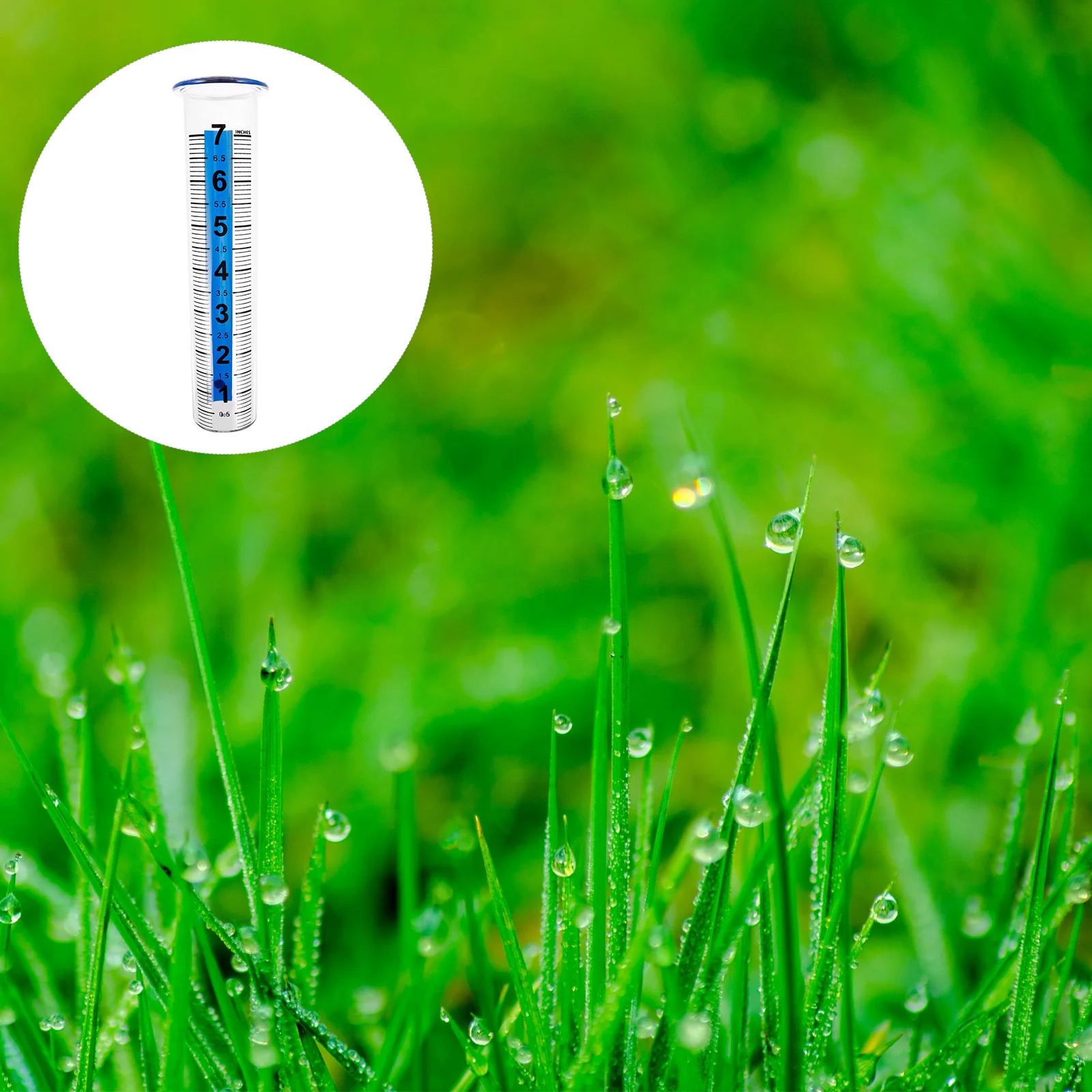 

Transparent Plastic Rain Gauge Tube Accurate Rainfall Measuring Tool for Garden Lawn Bright Vivid Beautiful Appearance