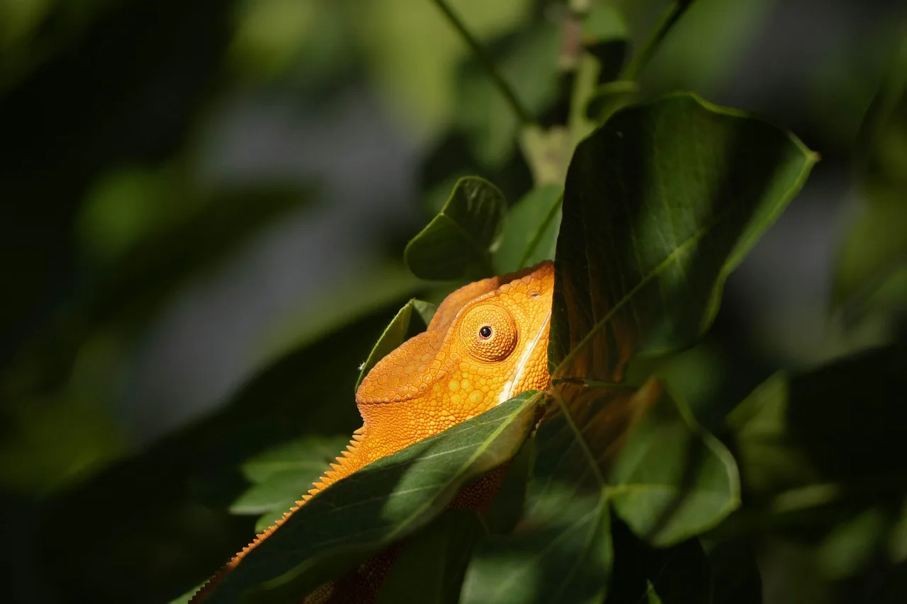 4PCS 1/12 샌드 휠 124016/124017/12428 Wltoys RC 버기 트럭 스노우 데저트 런 패들 타이어 62X98-40 업그레이드 부품