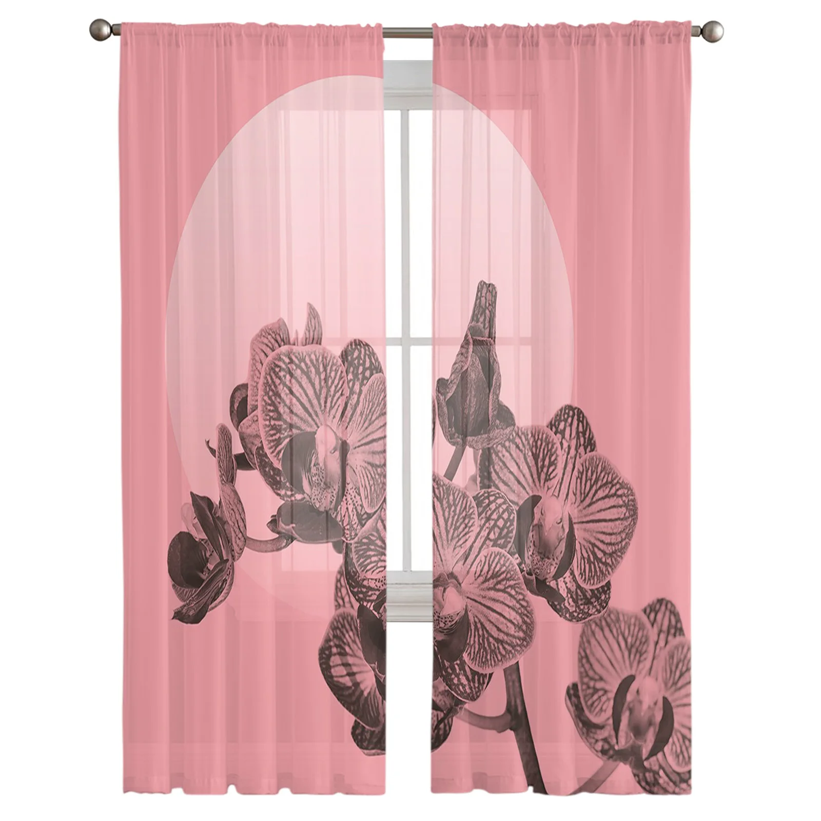 Phalaenopsis Artistic Closeup Tulle Sheer Curtains for Living Room Home Kitchen Decor Window Curtains Hotel Bedroom Voile Drapes