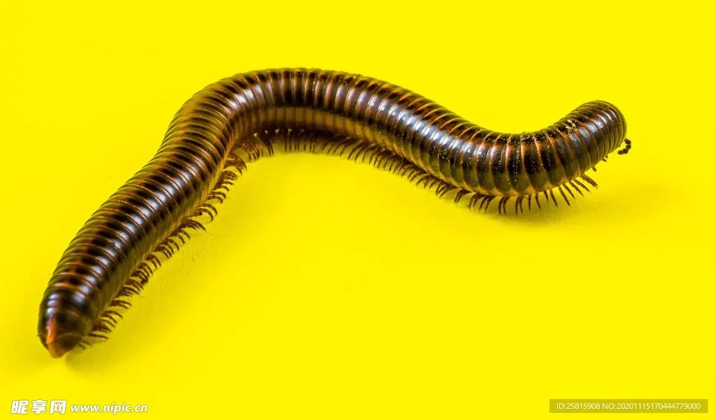 

XLH 9130 9136 9137 round head screw Remote control car accessories