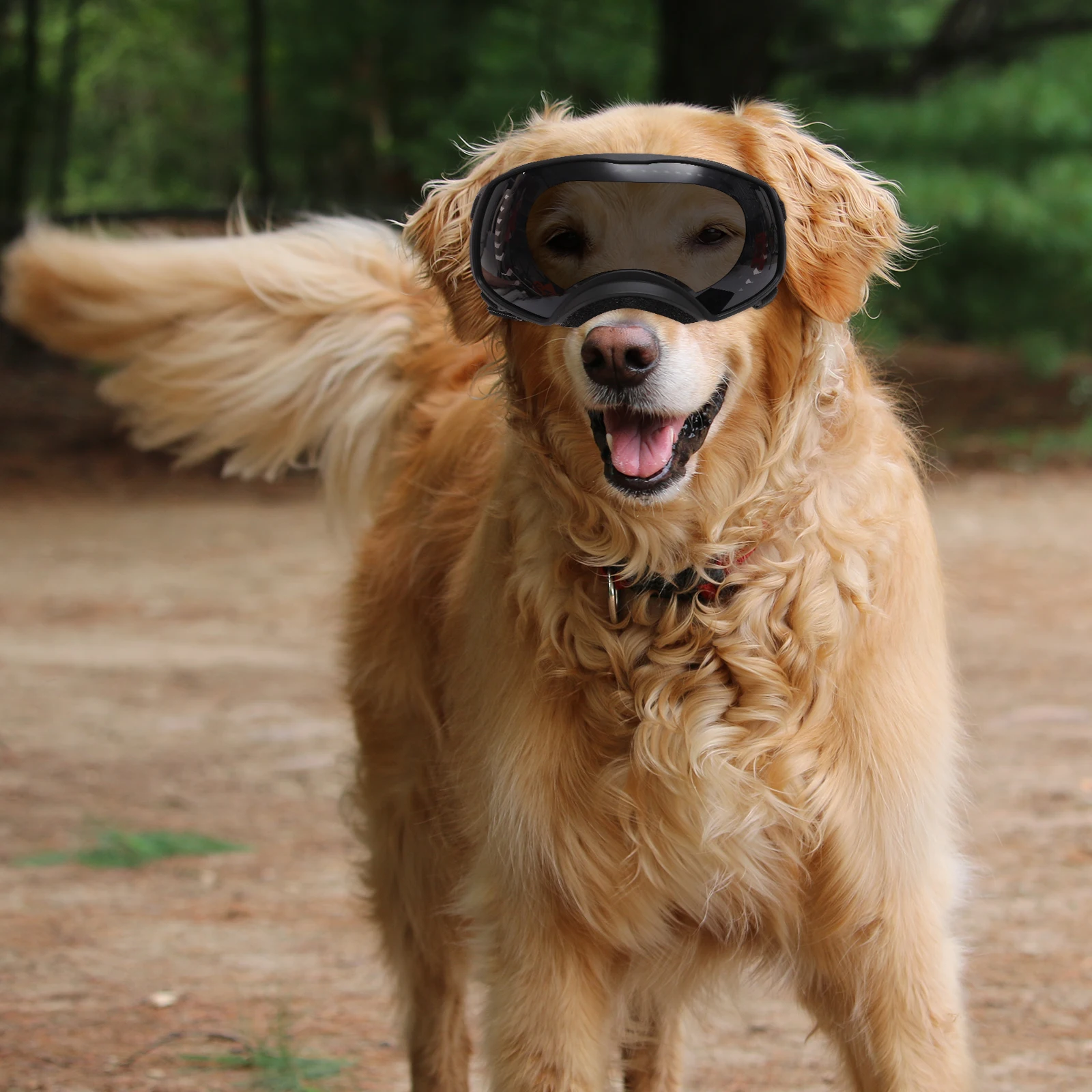 

Dog Goggle Large Medium Size Windproof Pet Accessories Nylon Belt Ventilated Frame Glasses for Dogs Outdoor Uv
