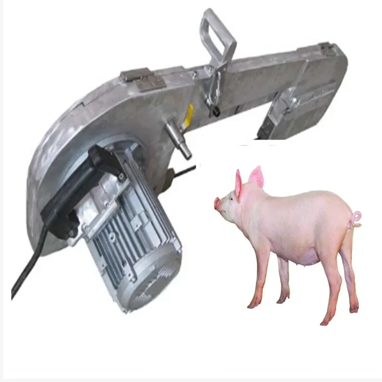 Live pig slaughterhouse equipment pig hog slaughtering equipment