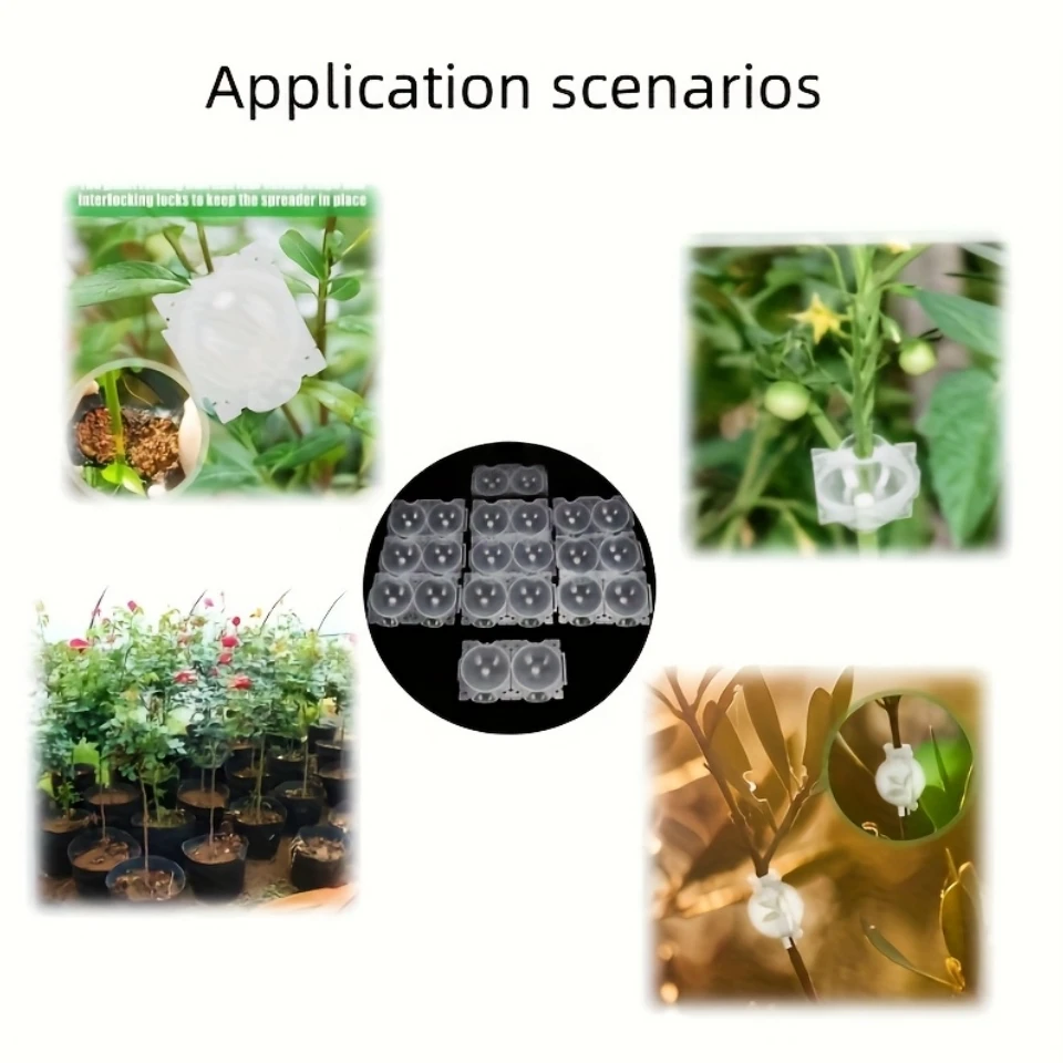 10 قطعة صندوق نشر الضغط العالي للبستنة ، أداة تأصيل قطع فرع النبات ، قطع الزهور والشجرة تطعيم تأصيل قطعة أثرية #6