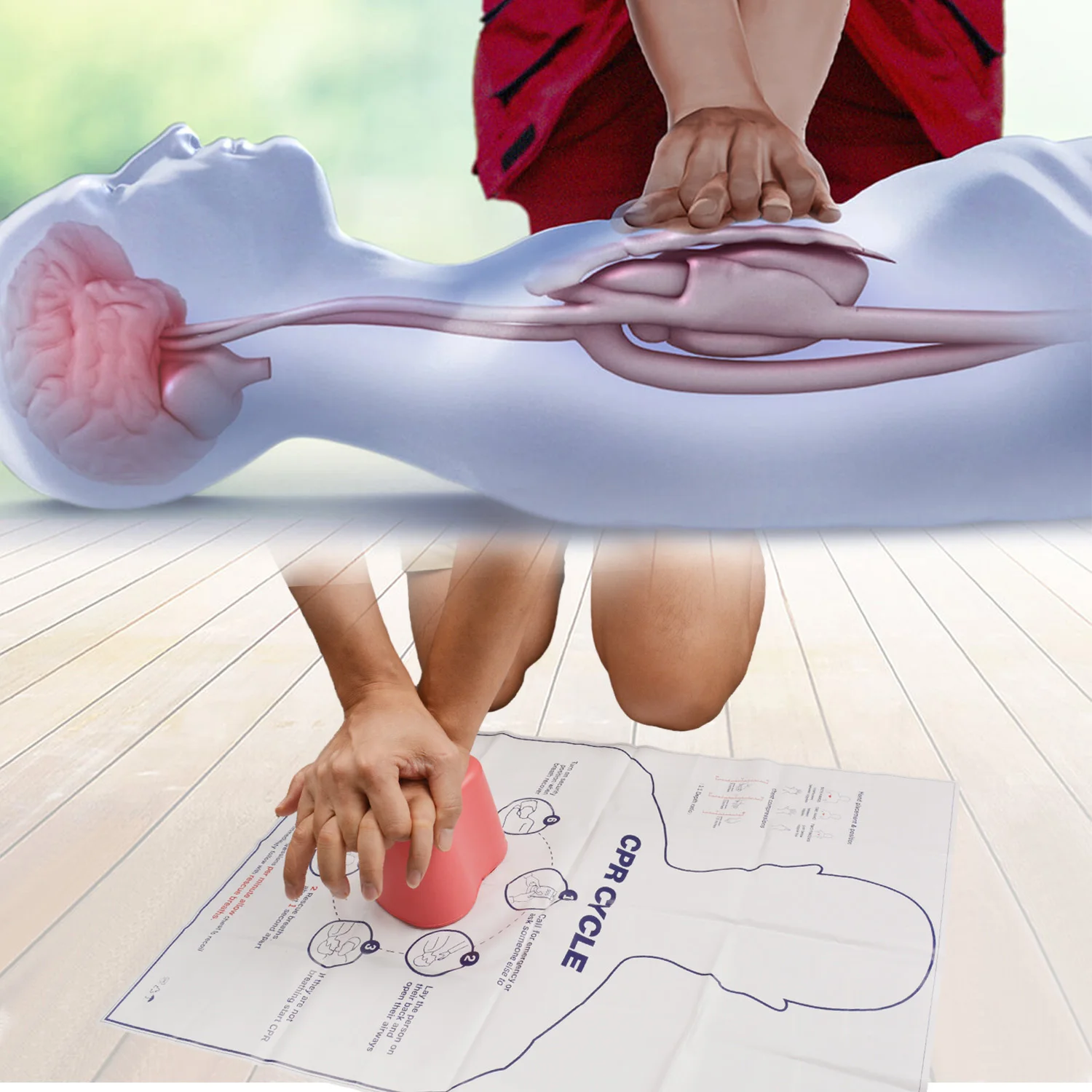 อุปกรณ์ฝึกอบรม CPR ของรูปแบบการฝึกปฐมพยาบาล CPR