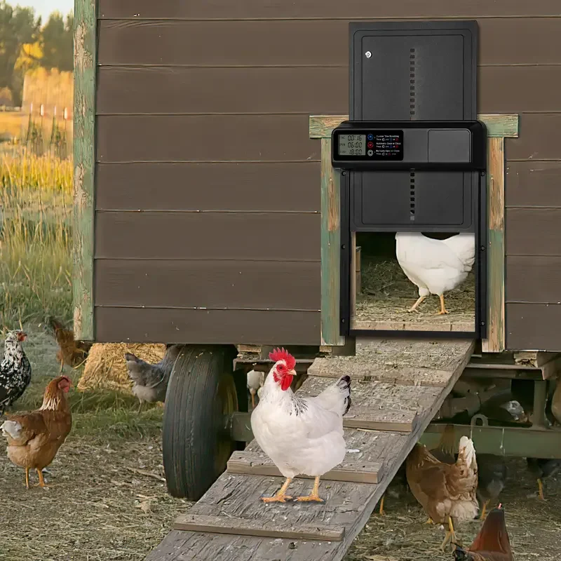 安全ゲート挟み込み防止機能小型ペット用品LCDディスプレイ自動鶏小屋ドア制御開閉式格納ドア