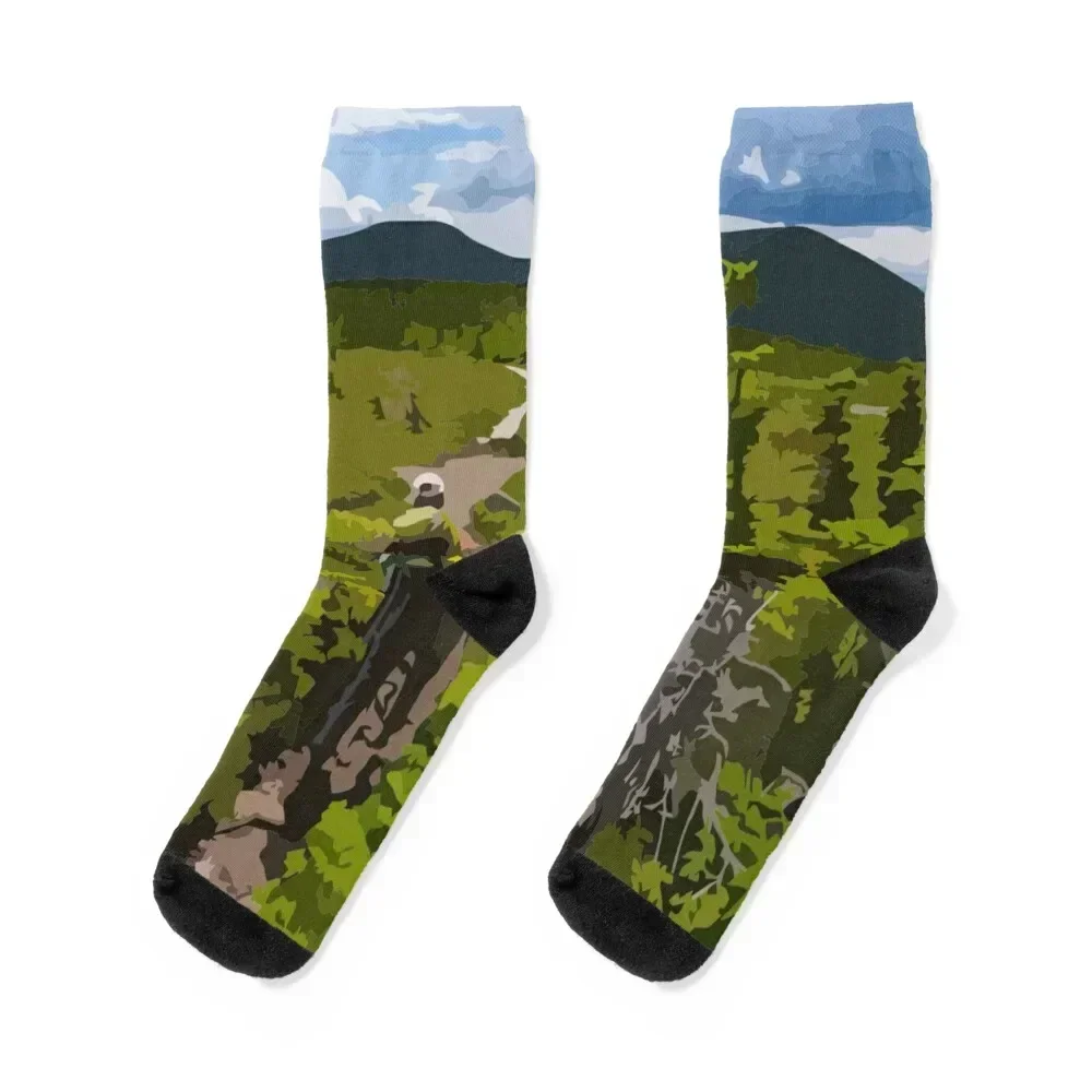 

Appalachian Trail Painting Socks sheer anime Stockings man Men Socks Women's