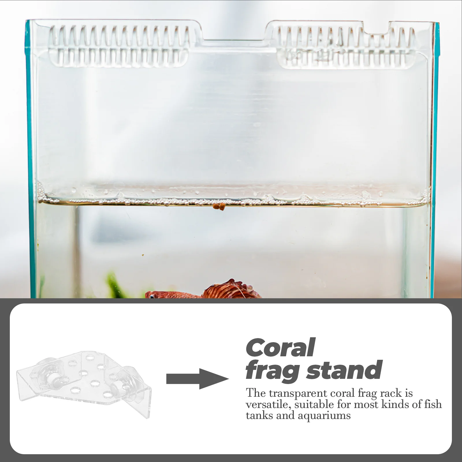 

Coral Rack Clear Acrylic Support Stand Suction Cup Fish Tank Coral Holder Aquarium Shelf Rack Aquarium Accessories
