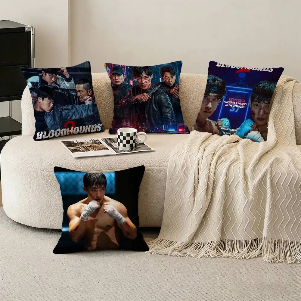 

HOT Drama B-Bloodhounds 2 Pillow Case Cushion Cover Throw Pillow Case For Car Sofa