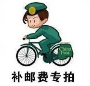 注文の送料について 8198400281623854