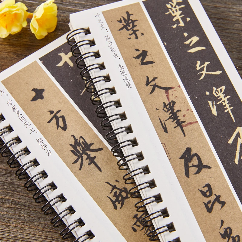 Professional Wang Xizhi Running Script Calligraphy Copybooks Special Chinese Character Calligraphy Tracing Copybook Art Supplies