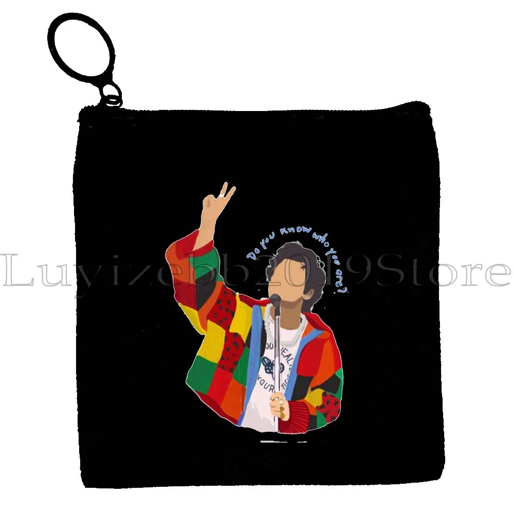 Подсолнух Love on Tour Цветочный мужской женский холщовый кошелек для монет Чехол для ключей Сумка для хранения карт Кошелек на молнии Гарри Музыкальный вентилятор Подарок