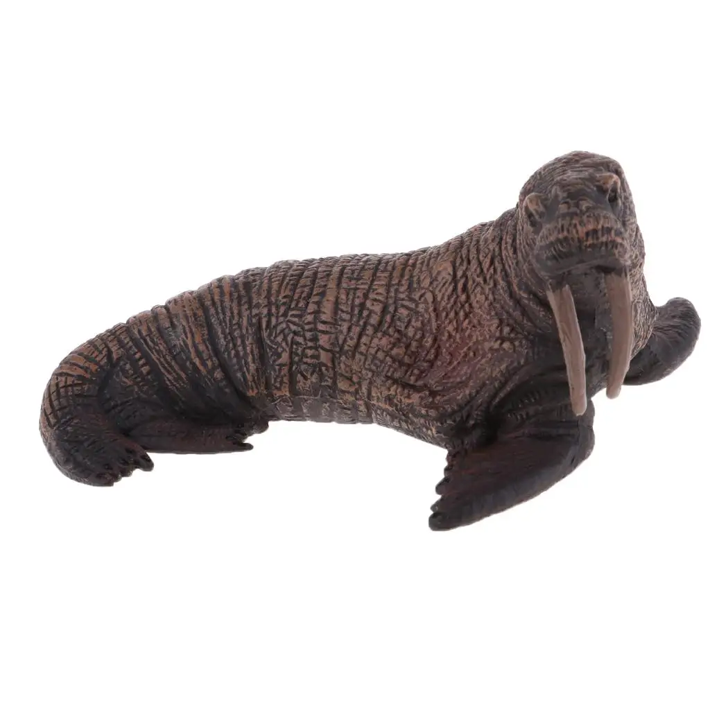 Sea Model Solid Walrus Figure Model Kids Education Cognitive Toy