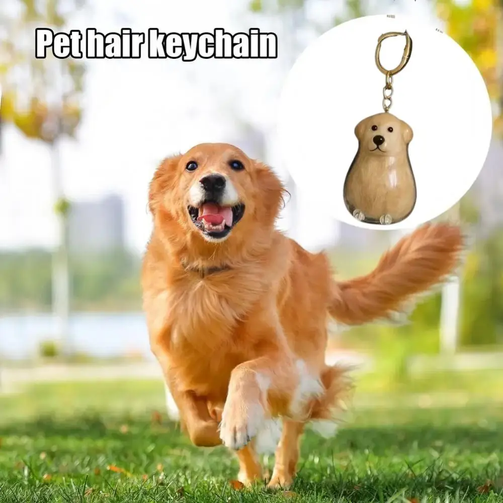 Cartoon Dog Shape Dog Hair Storage Box Transparent DIY Handmade Pet Hair Keychain Acrylic Keyring Puppy Pendants Jewelry Gift
