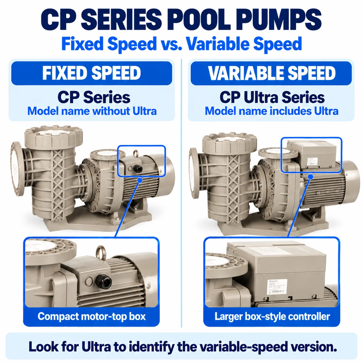 Cp550 5.5Hp Swimming Pool Pump 99M³/H Ip55 Water Treatment Circulation Pump Engineering Projects