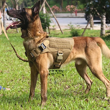 Large Dog Harness Set 22