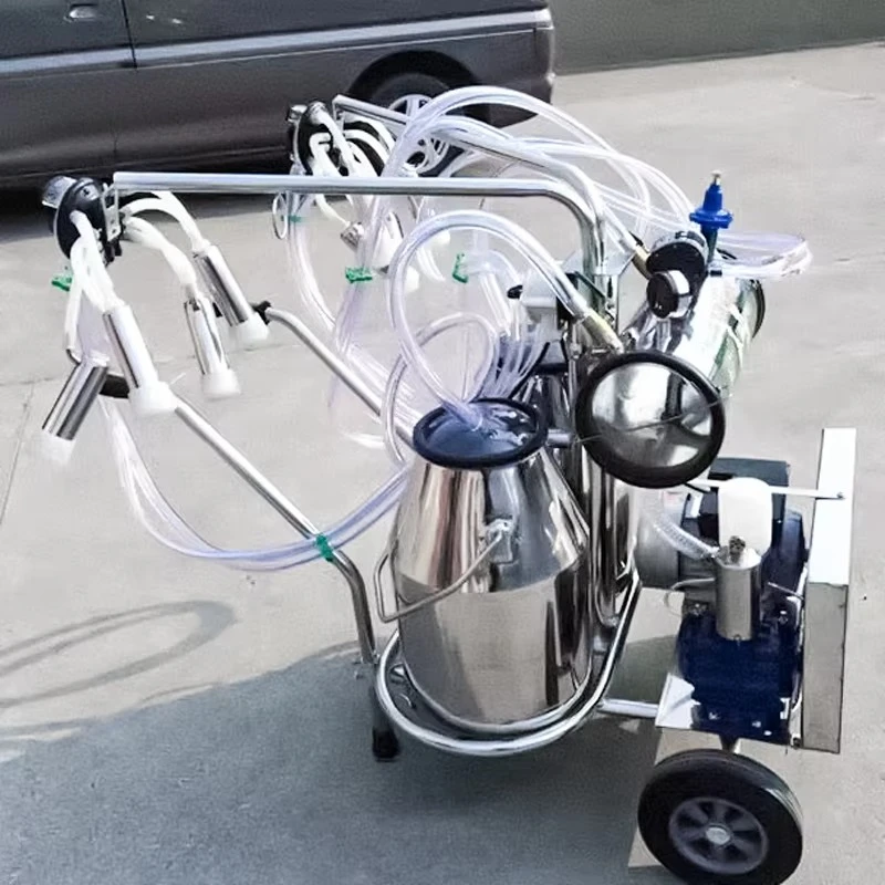 Category image: Food Processing Ancillary Equipment